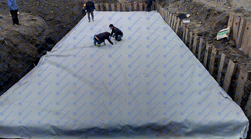 新城第二小學(xué)