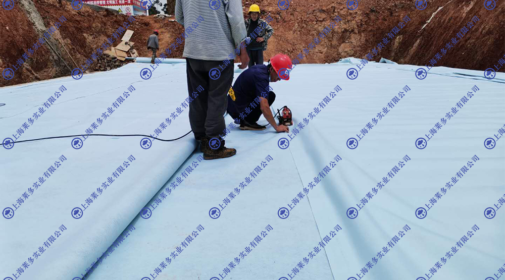 （康理）澄江化石地博物館