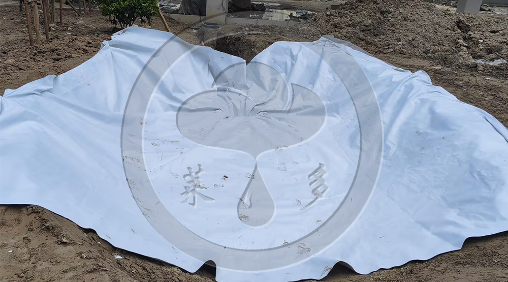 泥城社區(qū)DE06-G-1地塊配套中學(xué)海綿城市、雨水回收